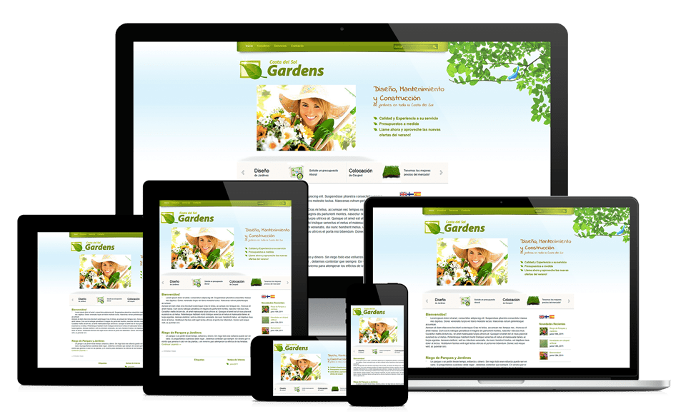Web Development