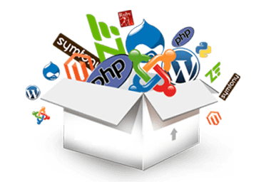 Web Development